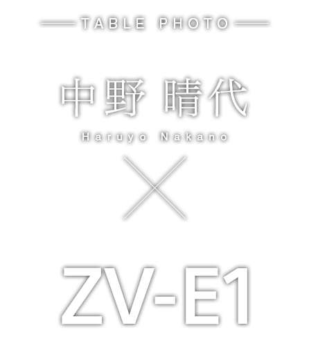 ���� ����~ZV-E1