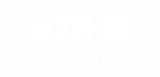ILCE-7RM3