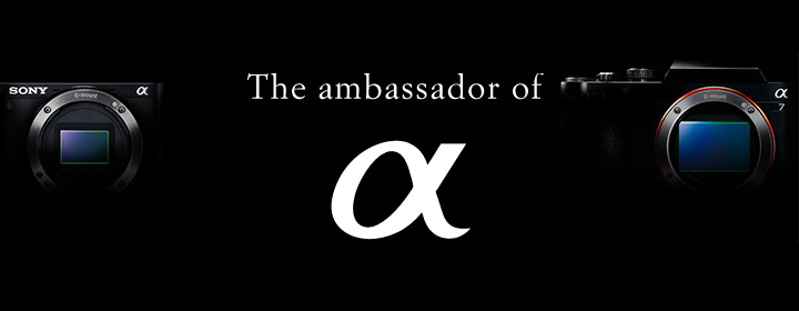 &alpha;�A���o�T�_�[��W &alpha;����J�����ɑ΂��ĔM���z������������W���܂�