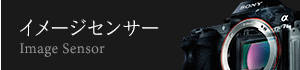 �C���[�W�Z���T�[�yImage Sensor�z