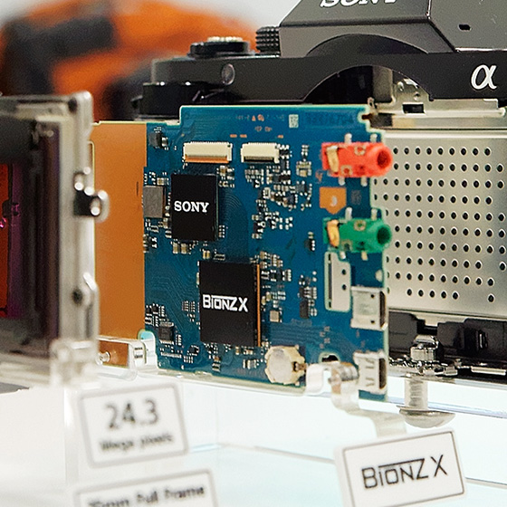 �摜�����̐S����BIONZ�w