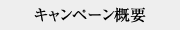 キャンペーン概要