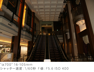 g700h16-105mm
Vb^[xF1/60b elFF5.6 ISO 400