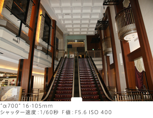 g700h16-105mm
Vb^[xF1/60b elFF5.6 ISO 400