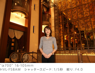 g700h16-105mm
HVL-F58AM@Vb^[xF1/5b elFF4.0