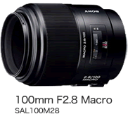 100mm F2.8 Macro