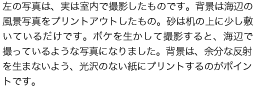 左の写真は、実は室内で撮影したものです。背景は海辺の風景写真をプリントアウトしたもの。砂は机の上に少し敷いているだけです。ボケを生かして撮影すると、海辺で撮っているような写真になりました。背景は、余分な反射を生まないよう、光沢のない紙にプリントするのがポイントです。