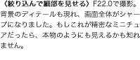 qi荞ōוrF22.0ŎBeBwĩfBe[AʑŜV[vɂȂ܂Bꂪȃ~j`AA{̂悤ɂ邩m܂B
