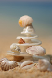 œ_: 100mm / Fl: 2.8 / Vb^[x: 1/40b