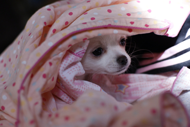 œ_: 50mm / Fl: 2.0 / Vb^[x: 1/320b