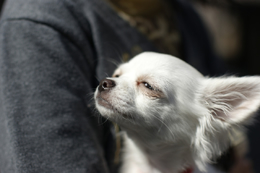 œ_: 50mm / Fl: 1.4 / Vb^[x: 1/500b