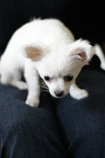 œ_: 50mm / Fl: 1.4 / Vb^[x: 1/60b