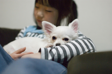 œ_: 35mm / Fl: 1.4 / Vb^[x: 1/400b