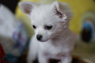 œ_: 50mm / Fl: 1.4 / Vb^[x: 1/60b