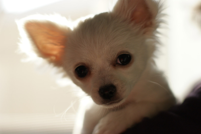 œ_: 50mm / Fl: 2.0 / Vb^[x: 1/2000b  