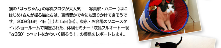 �L�́u�͂������v�̎ʐ^�u���O����l�C�|�|�ʐ^�ƁE���j��i�͂ɂ͂��߁j���񂪎B��L�����́A�\��L���ō��ɂ���肩���Ă������ł��B2008�N6��14���i�y�j��15���i���j�A�����E�����̃\�j�[�X�^�C���V���[���[���ŊJ�Â��ꂽ�A�̌��Z�~�i�[�u�t���t���I�[�g���g��350�h�Ńy�b�g�����킢���B�낤�I�v�̖͗l�����|�[�g���܂��B