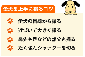 ���������ɎB��R�c