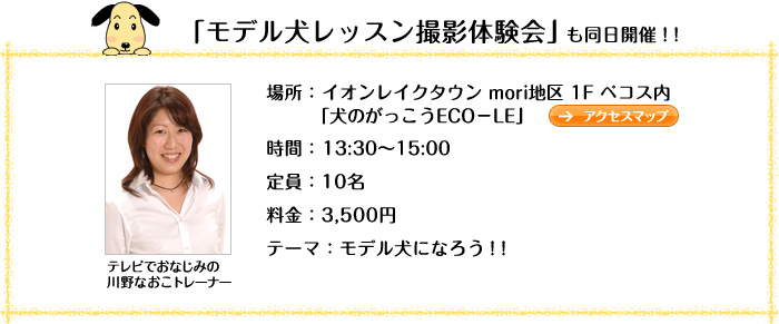 �u���f�������b�X���B�e�̌���v�������J�ÁI�I