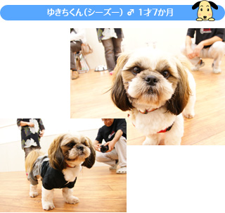 �䂫������i�V�[�Y�[�j �� 1��7����