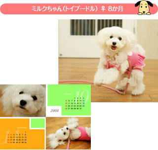 �~���N�����i�g�C�v�[�h���j �� 8����