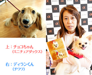 ��F�`���R�����i�~�j�`���A�_�b�N�X�j
�E�F�f�B��������i�`�����j