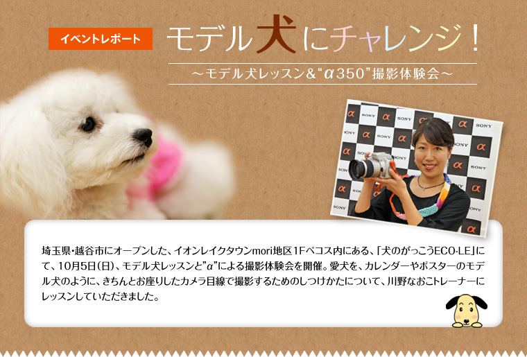 �C�x���g���|�[�g�@���f�����Ƀ`�������W�I�`���f�������b�X�����g��350�h�B�e�̌���`