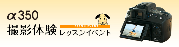 ��350�B�e�̌����b�X���C�x���g