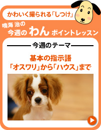 ���T�̃e�[�}�@��{�̎w����u�I�X�����v����u�n�E�X�v�܂�