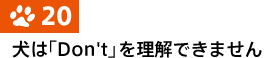 20.���́uDon't�v�𗝉��ł��܂���