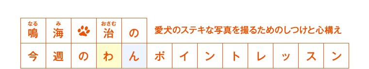 �C���̍��T�̂��|�C���g���b�X���@�����̃X�e�L�Ȏʐ^���B�邽�߂̂����ƐS�\��