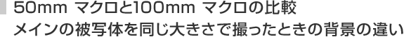 50mm マクロと100mm マクロの比較:メインの被写体を同じ大きさで撮ったときの背景の違い