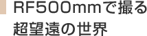 RF500mmで撮る超望遠の世界