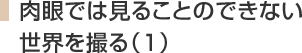 肉眼では見ることのできない世界を撮る(1)