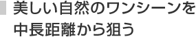 美しい自然のワンシーンを中距離から狙う
