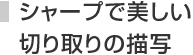シャープで美しい切り取りの描写