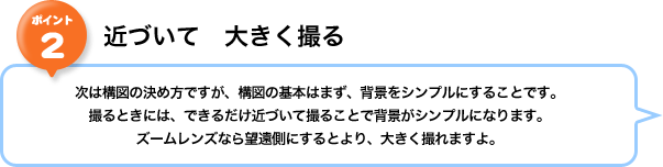 �|�C���g2�F�߂Â��ā@�傫���B��