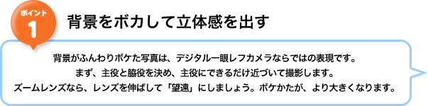 �|�C���g1�F�w�i���{�J���ā@���̊����o��