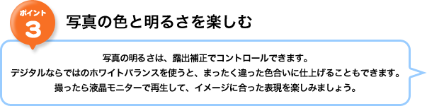 �|�C���g3�F�ʐ^�̐F�Ɩ��邳���y����