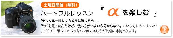 �n�[�g�t�����b�X�� �������̂��ށi�y�j���J�Áj |