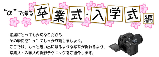 ���ŎB�鑲�Ǝ��E���w����