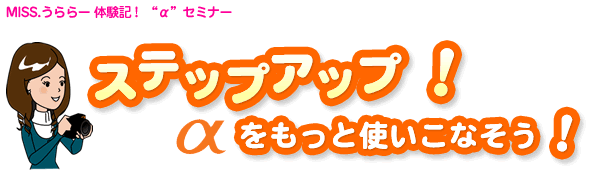 Miss.�����[�̌��L�I���Z�~�i�[
�X�e�b�v�A�b�v�I���������Ǝg�����Ȃ����I