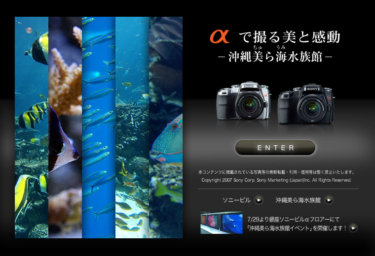 ���ŎB����Ɗ���-�������C������-