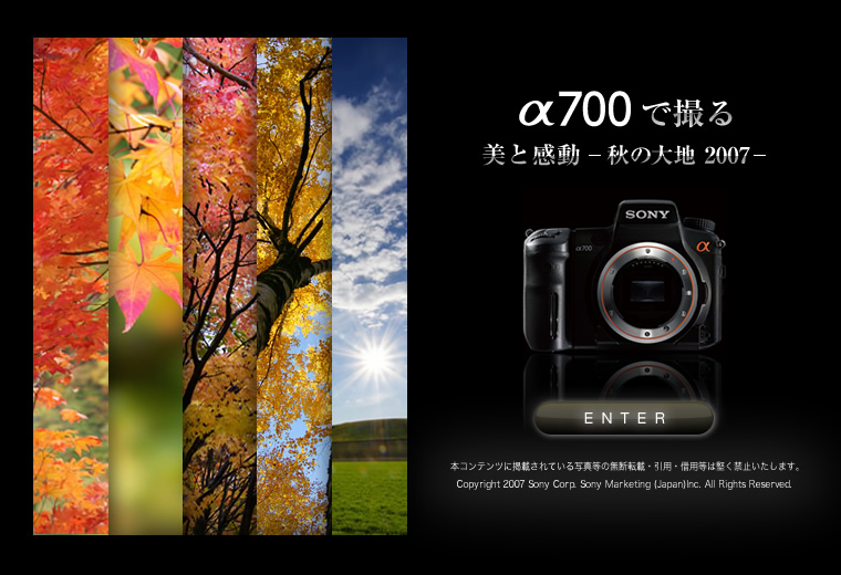 ��700�ŎB��@���Ɗ����@�|�H�̑�n�@2007�|