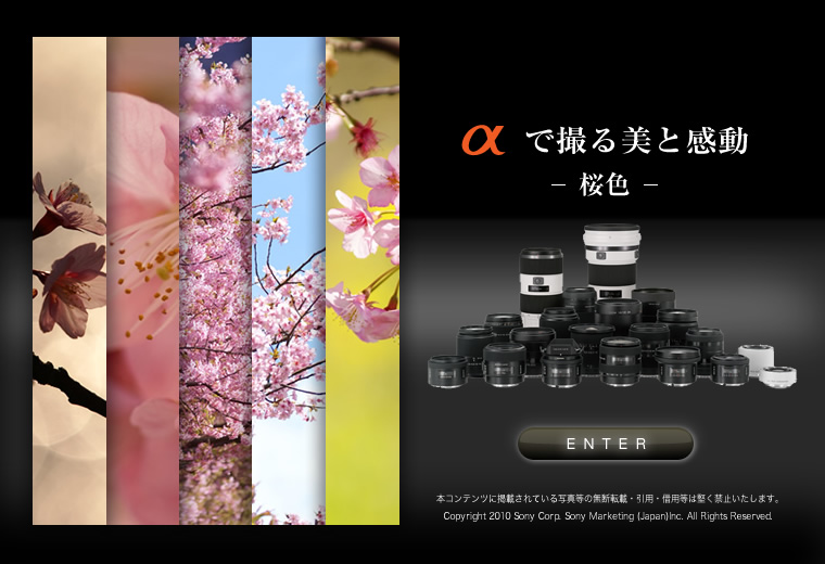 ���ŎB����Ɗ���-���F-