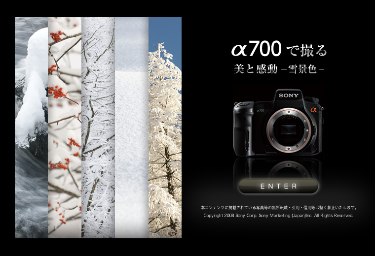 ��700�ŎB��@���Ɗ����@�|��i�F�|