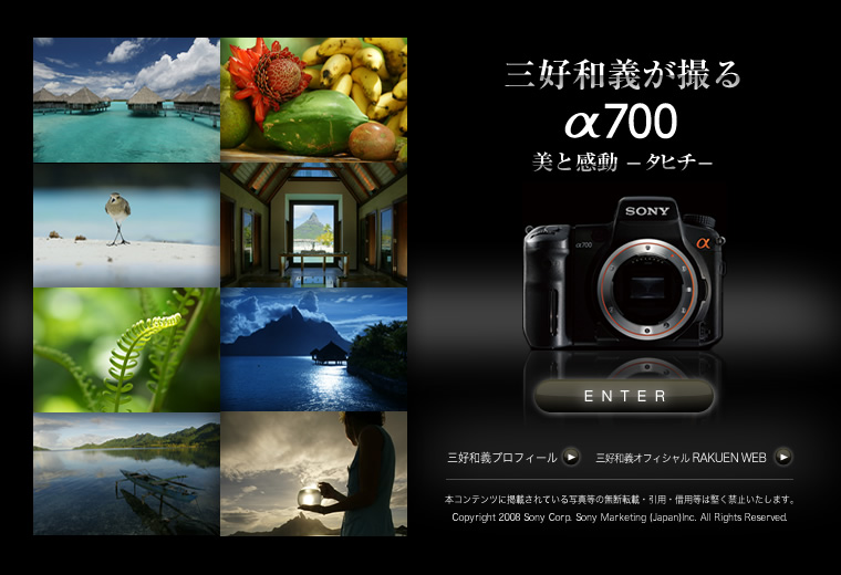 �O�D�a�`���B�� ��700 ���Ɗ��� �|�^�q�`�|