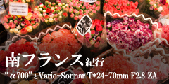 ��t�����X�I�s�@�g��700�h�Ɓg Vario-Sonnar T* 24-70mm F2.8 ZA SSM�h