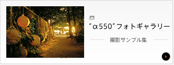 �g��550�h�t�H�g�M�������[�@�B�e�T���v���W