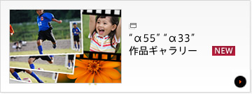 �g��55�h�g��33�h��i�M�������[