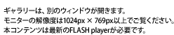 M[́Aʂ̃EBhEJ܂Bj^[̉𑜓x1024px ~ 769pxȏłB{Rec͍ŐVFLASH playerKvłB